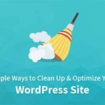 Clean Up WordPress Website