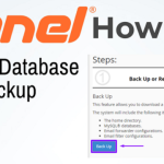 MySQL database backup